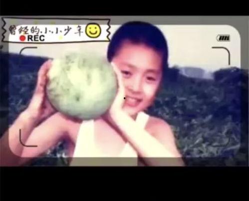 张桐背景